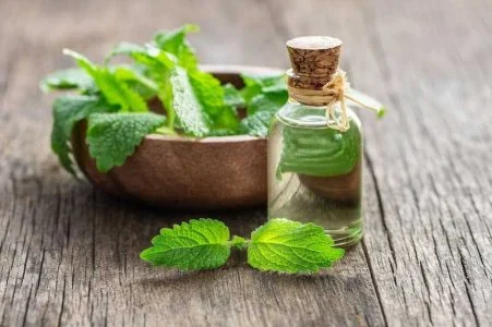 خواص عرق بادرنجبویه برای لاغری