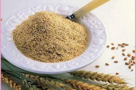 جوانه گندم از کجا بگیریم