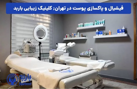 بهترین خدمات فیشیال و پاکسازی پوست در شمال تهران