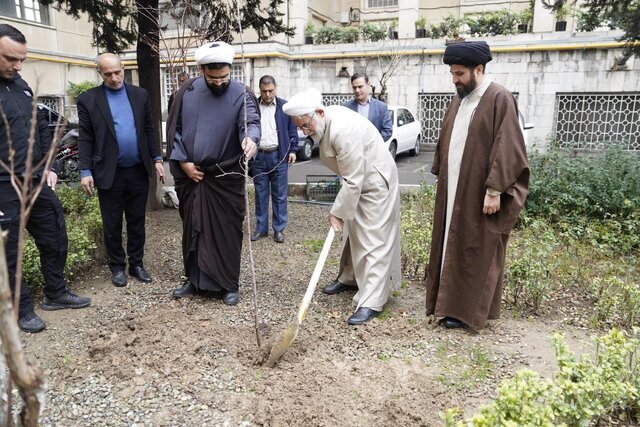 متظری: به زمین‌خواری و قلع و قمع درختان بدون مسامحه رسیدگی می‌کنیم - خبرگزاری مهر | اخبار ایران و جهان