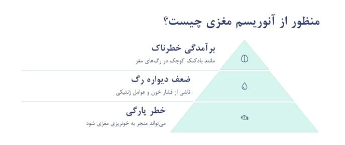 عوامل موثر در ایجاد آنوریسم مغزی در مردان: به نقل از دکتر سید حسین آقامیری