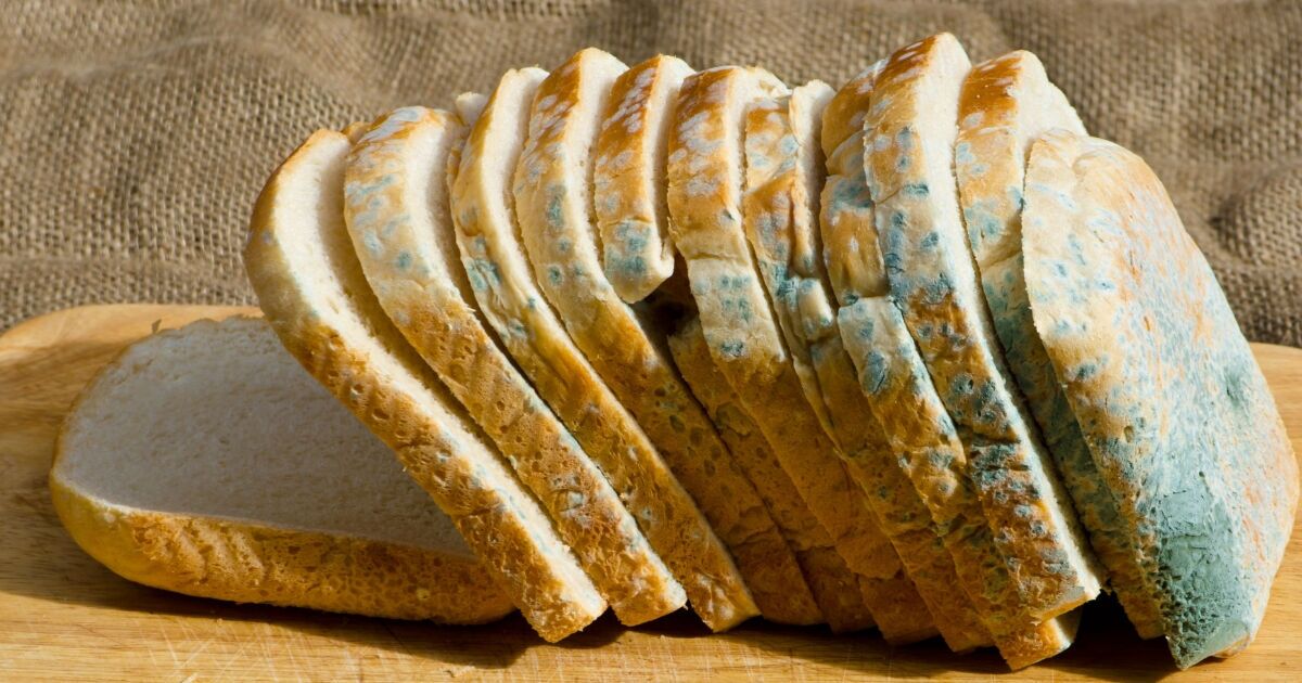 تمام مواد غذایی کپک زده را دور بریزید/ هیچ قسمتی را نخورید
