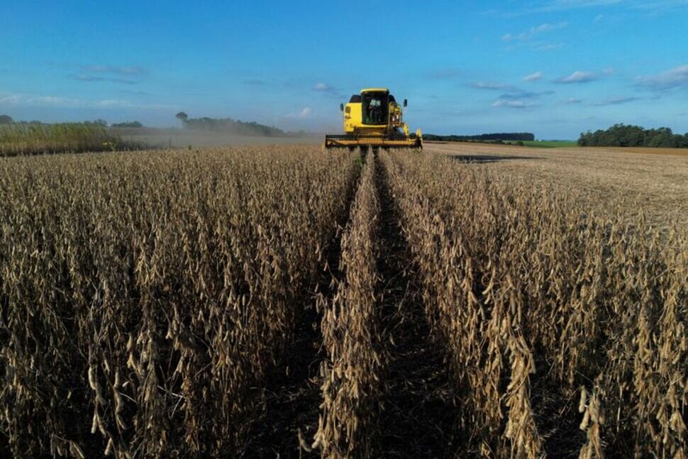 صادرات سویای آمریکا زیان می‌بیند